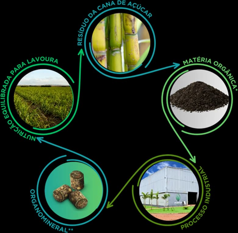 Compromisso com a Economia Circular